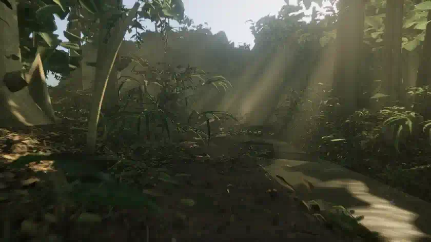 Jungle Trail screenshot